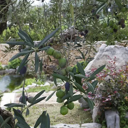 Ristorante Uliveto ホテル Veroli