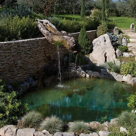 ホテル Ristorante Uliveto